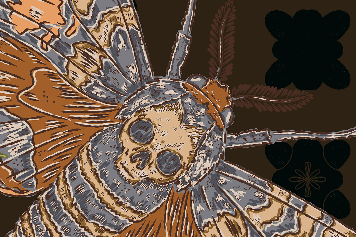 Hawk Moth, Cotton and Shark Tooth, a Pattern Graphic by NayaChu (Photo 4 of 10)