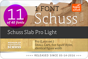 SchussSlabProLight No.11 1 Font