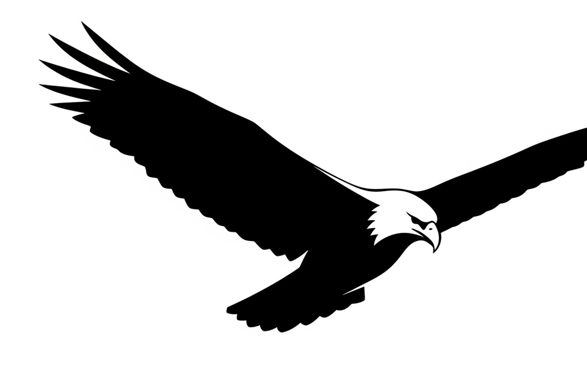 Powerful eagle flying wall art desig, an Illustration by Amazin_art (Photo 28 of 31)