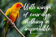 Tropical Crystals Bold Calligraphy, a Script Font by stylishtype.co (Thumbnail 2 of 20)