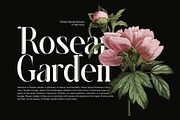 Haruka Elegant Serif Font, a Serif Font by Graphicxell (Thumbnail 2 of 8)
