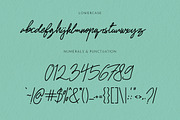 Mr. Skywhale Signature Script Font, a Handwritten Font by ashenterprise (Thumbnail 10 of 16)