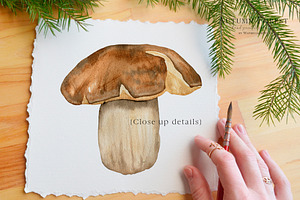 Fall Forest Mushrooms Clipart