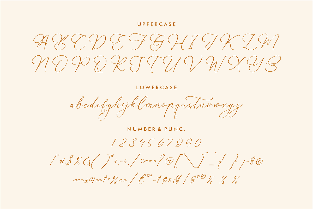 Martigale A Modern Calligraphy Font, a Script Font by Storytype Studio (Photo 11 of 12)