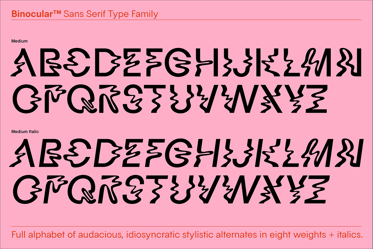 Binocular Sans Font Family, a Sans Serif Font by IRL by Outfit (Photo 6 of 26)