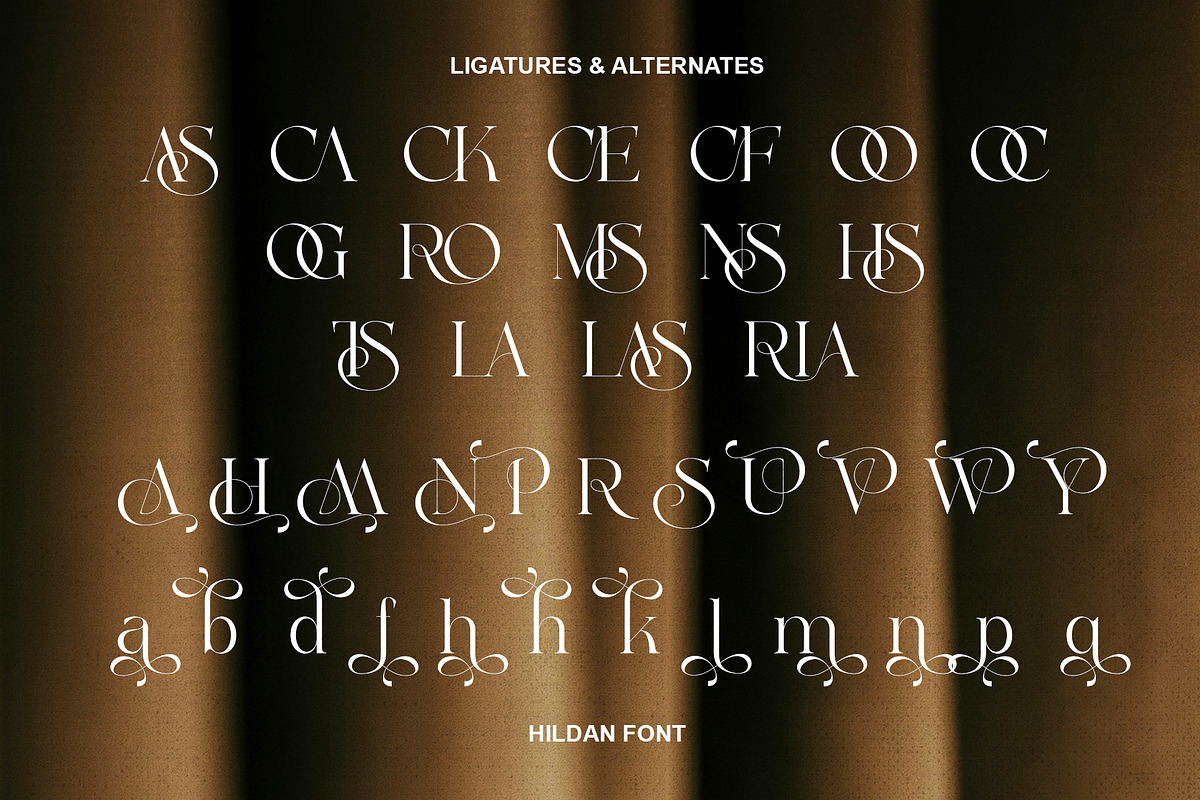 Hildan Modern Ligature Serif, a Serif Font by Alfinart (Photo 7 of 10)