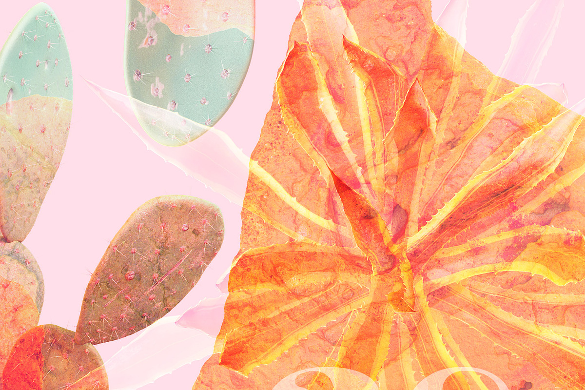 Sahara Flowers #01, a Product Mockup by ARKS ACADEMY (Photo 4 of 10)