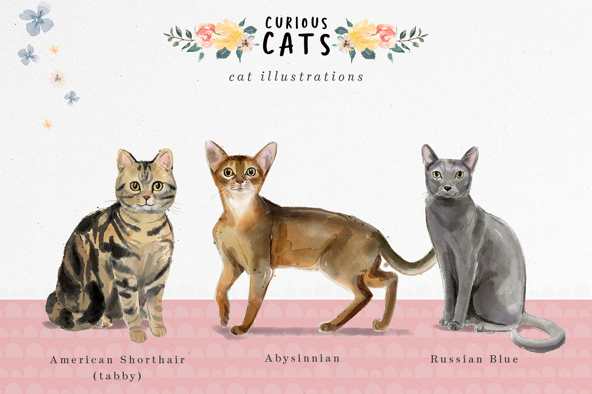 Curious Cats Feline Clipart, an Animal Illustration by Twigs and Twine (Photo 2 of 11)