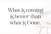 Wistenia Typeface, a Serif Font by Ivan Rosenberg (Thumbnail 2 of 18)