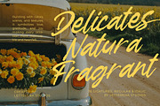 Garden Solland Bold Handwritten Font, a Script Font by Letterena Studios Script (Thumbnail 6 of 15)