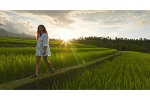 Woman walking through green Ubud, a Person Photo by Goinyk