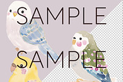 Whimsical Australian Birds Clipart, an Animal Illustration by Pawcasso's Portraits (Thumbnail 3 of 7)