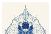Role Co. Cyanotype Leaf in Symmetry, a Texture Illustration by milatovar (Thumbnail 12 of 21)