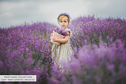 Lr Presets - Must-Have Collection, a Plug-in Add-On by FixThePhoto (Thumbnail 22 of 52)
