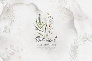 Watercolor Botanical Collection