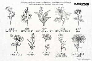 Birth Flower Procreate Brush Stamps