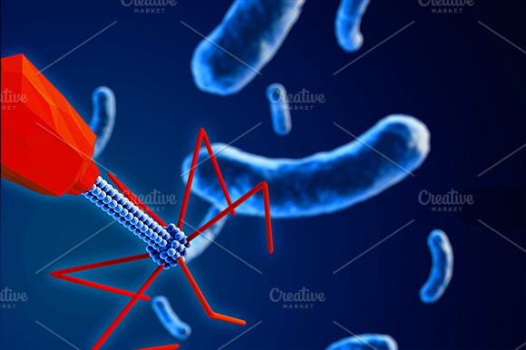 Bacteriophage Attacking Bacteria