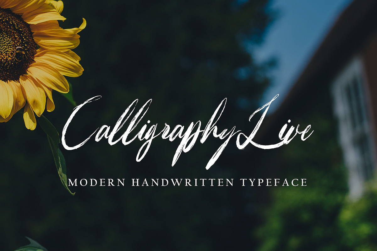 Fareinheit, a Handwritten Font by pineungtype (Photo 2 of 6)