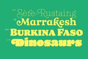 65% OFF Naiche Font Family