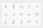 Spices. 30 Premade logos & branches, a Branding & Logo Template by Merfin (Thumbnail 4 of 8)