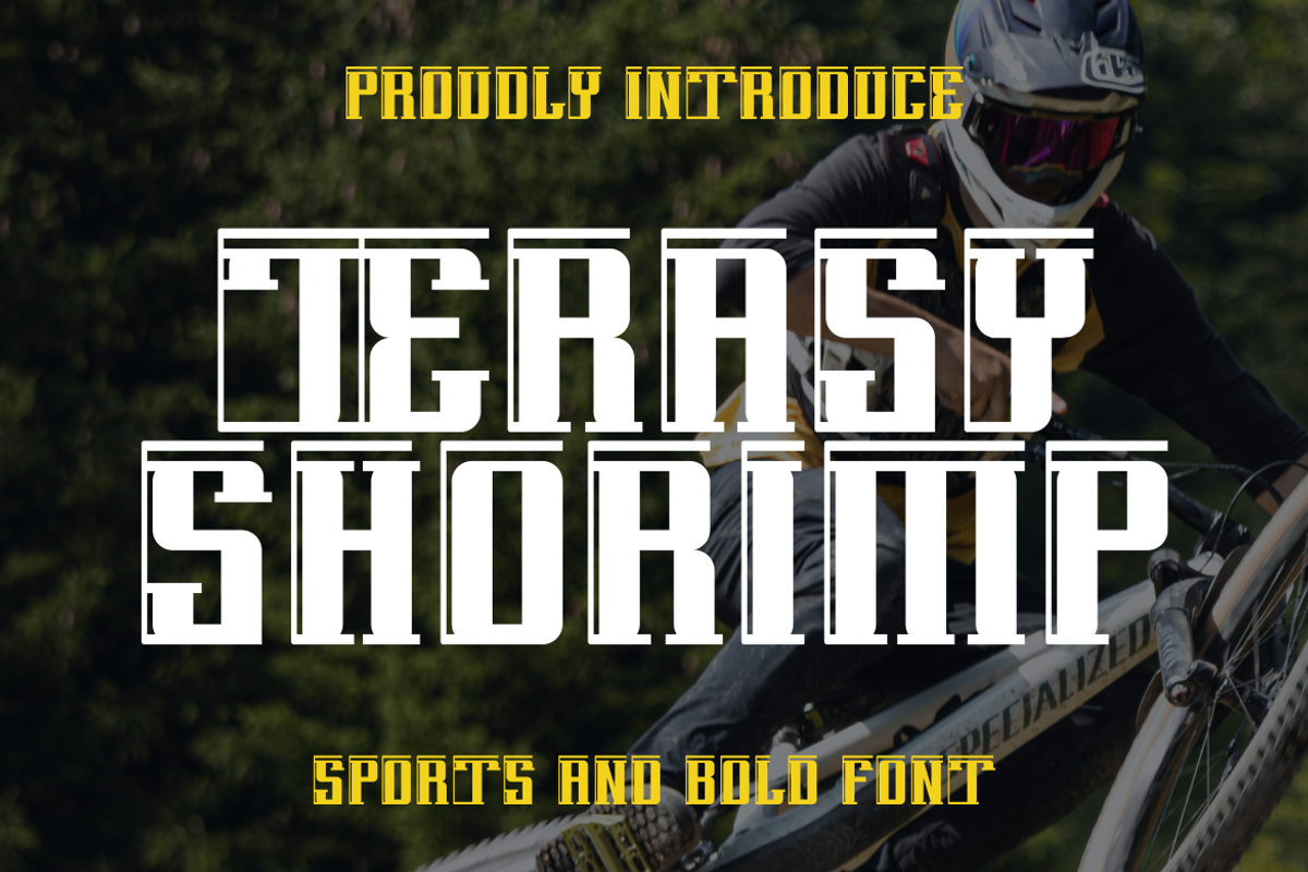 TeRASY SHORIMP, a Slab Serif Font by Viswal Studio (Photo 1 of 6)