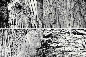 Gnarled Wood Textures