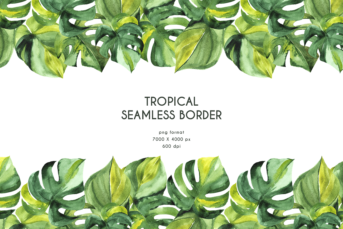 Tropical Foliage Watercolor set, a Decorative Illustration by Liliia Polos Illustration (Photo 9 of 14)