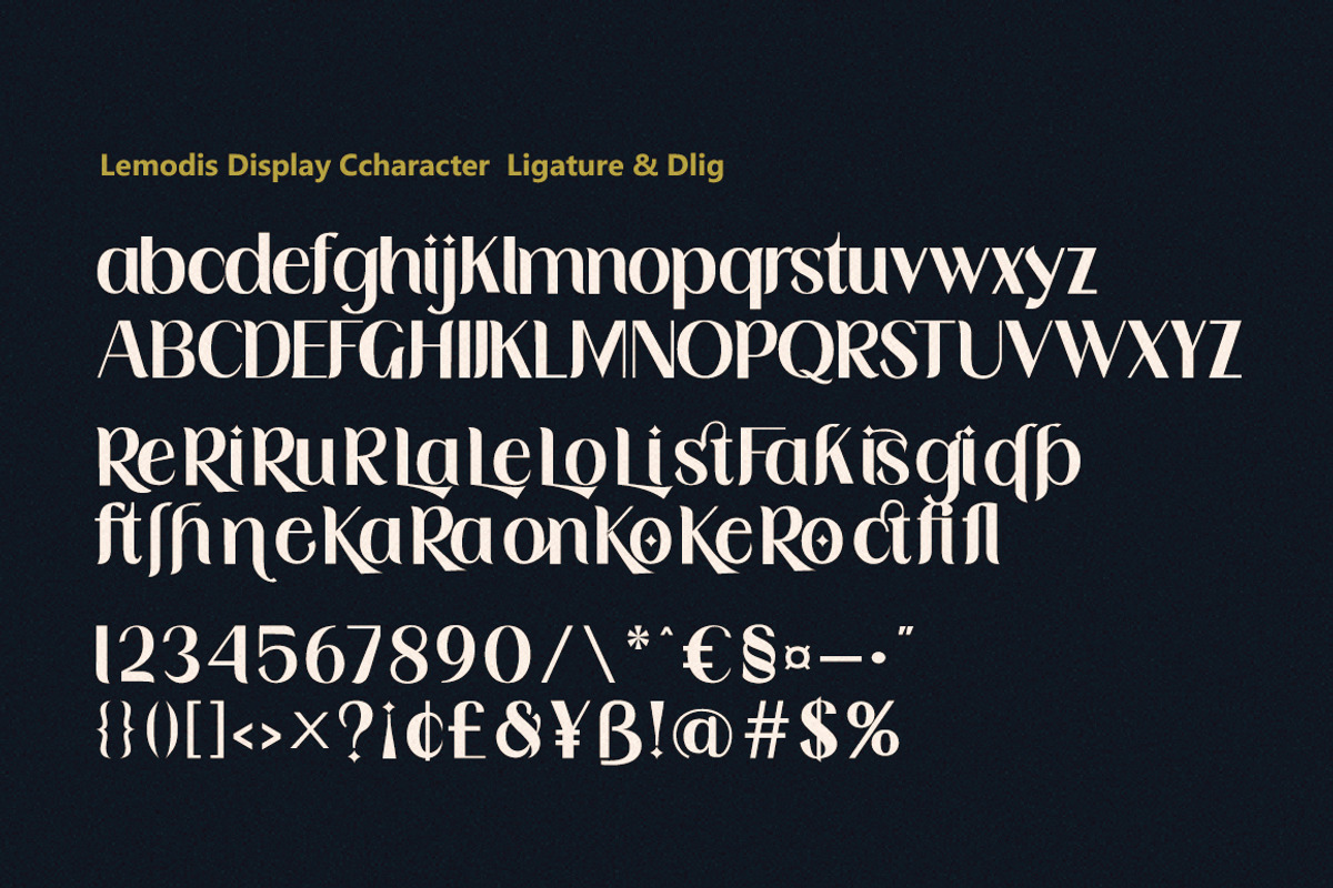 Lemodis Display, a Serif Font by studiobasic (Photo 8 of 9)