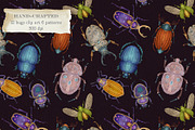 Vintage Beetle Clipart Patterns, an Animal Illustration by AlenaVlasko stock Market (Thumbnail 1 of 5)