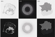 SPACE SPECIMENS retro abstract blobs, an Object Graphic by Amy Louise Baker (Thumbnail 13 of 15)