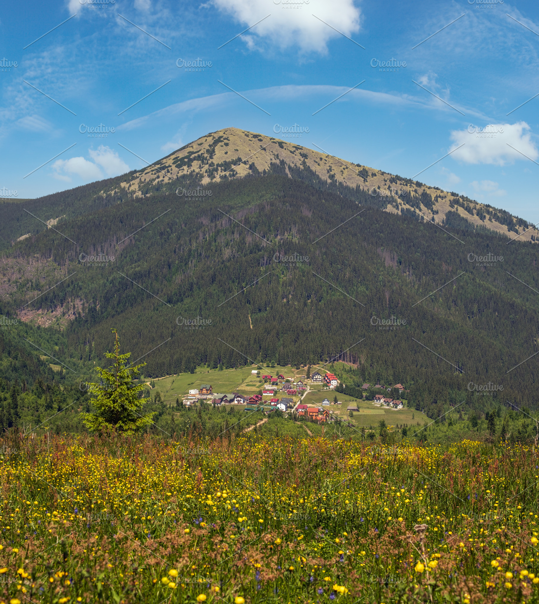 Summer Gorgany massiv mountains scenery view from Sevenei hill (, a Nature Photo by YuriyB