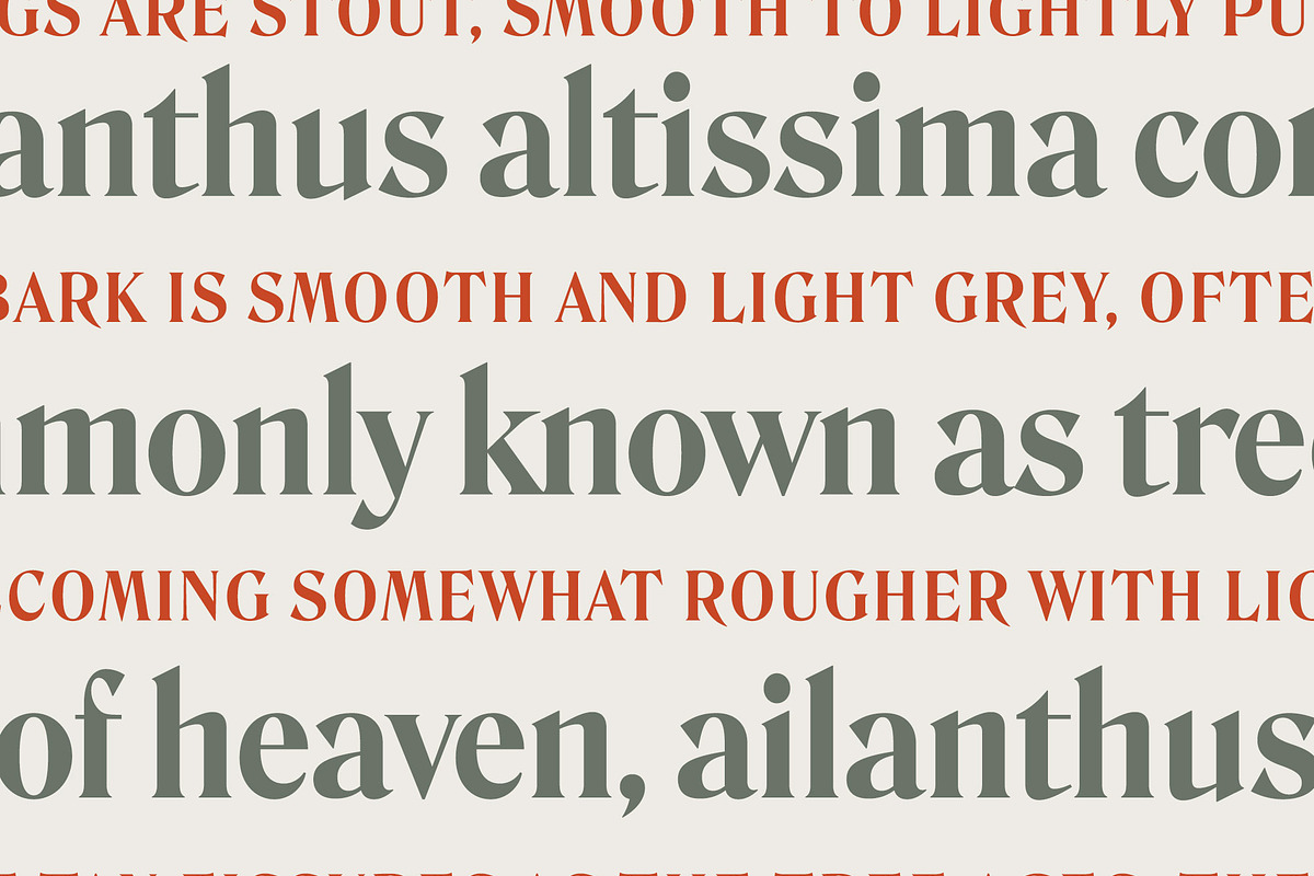 Range — A Vintage Classic Serif Font, a Font by Inlay Studio (Photo 6 of 7)