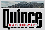 Quince Condensed Font, a Sans Serif Font by executypeStudio (Thumbnail 1 of 11)