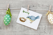 Watercolor Spring Collection., an Animal Illustration by Kira Konoshenko (Thumbnail 5 of 21)