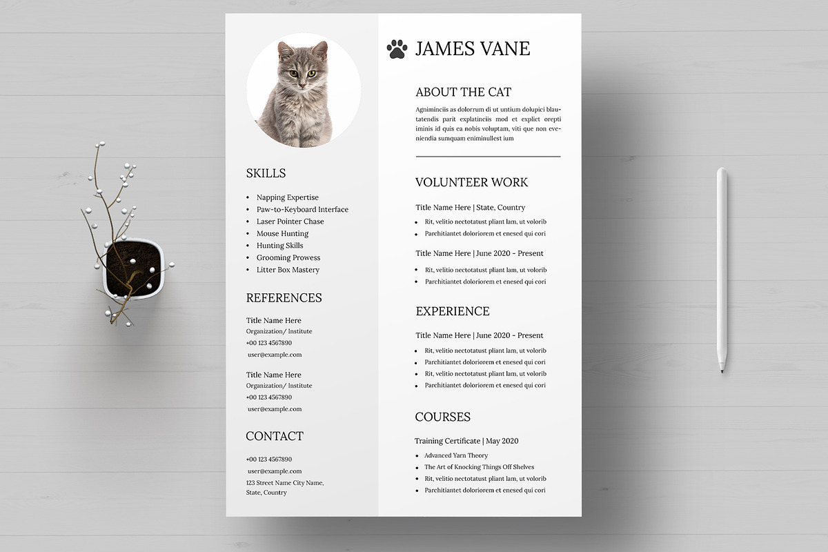 Cat Resume Template, a Resume Template by MightyDesign (Photo 1 of 8)