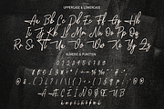 Graffiti | Script Font, a Script Font by Scratchones (Thumbnail 7 of 8)
