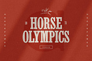 Handbill: letterpress type family, a Slab Serif Font by Polymath (Thumbnail 6 of 14)