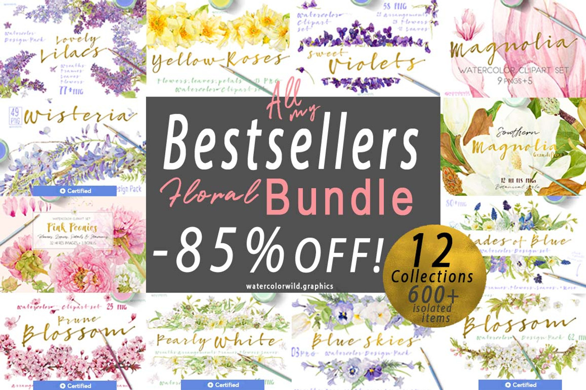 BUNDLE of BESTSELLERS -85%, an Illustration by watercolorwild.graphics (Photo 1 of 13)