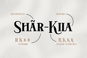 Hatem, a Serif Font by Drizy (Thumbnail 9 of 11)