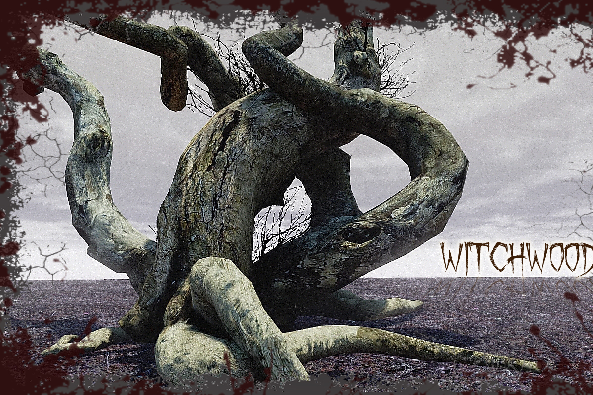 Witchwood, an Environmental 3D Model by MotuProprio (Photo 1 of 7)