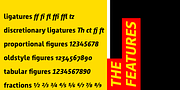 Lecturia, a Sans Serif Font by ingoFonts (Thumbnail 8 of 10)