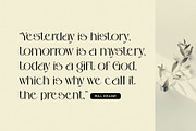 Bostaire Luxury Sans Serif Font, a Sans Serif Font by Heinzel Std (Thumbnail 13 of 15)