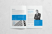 Annual Report 24 Pages, a Brochure Template by Pro-Gh (Thumbnail 3 of 11)