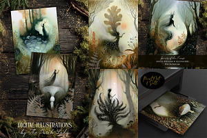 Spirits Of The Forest Illustrations