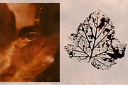 Hand-crafted Herbal Imptints, an Object Graphic by Dervik Art Store (Thumbnail 2 of 10)