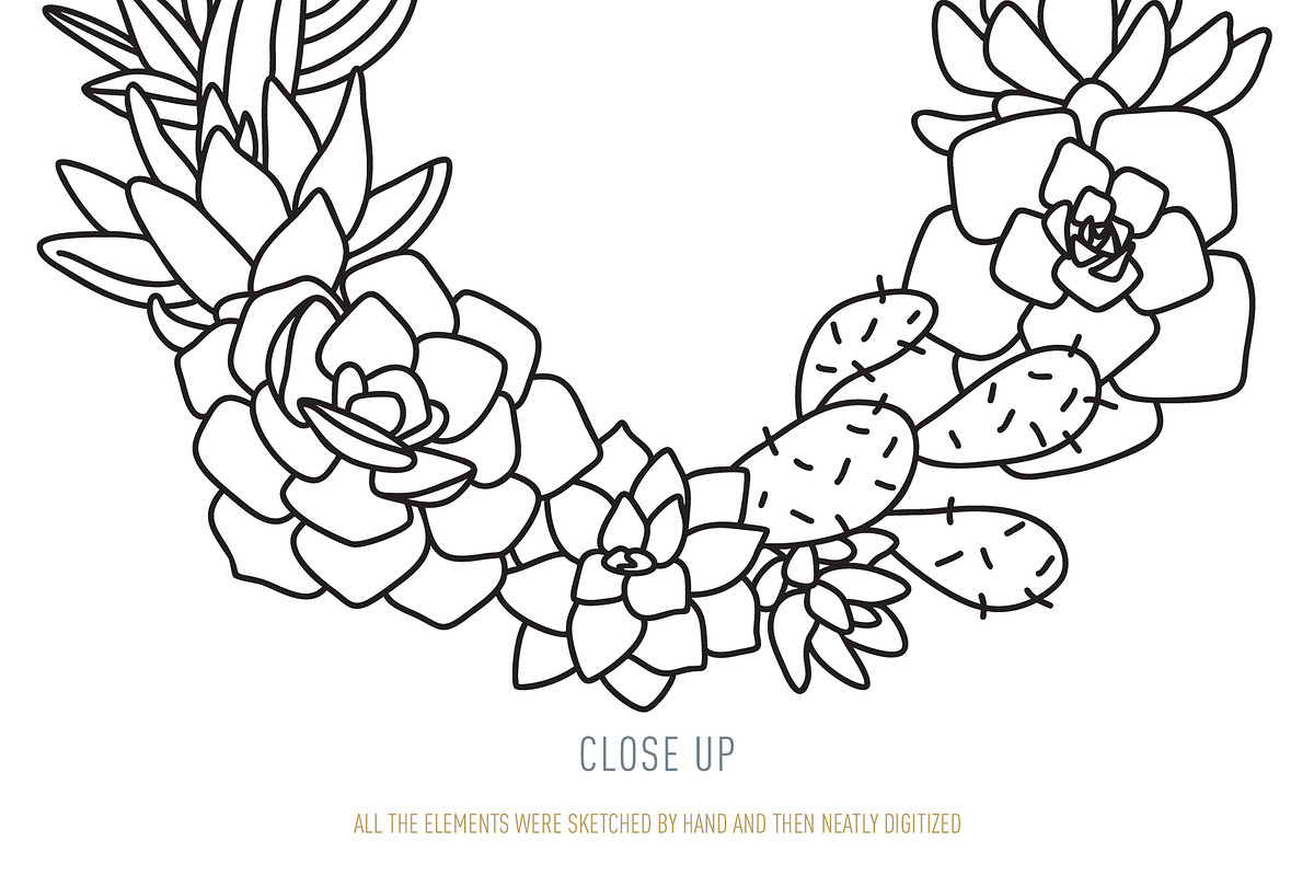 HOME PLANTS AND CACTI LINE ART, an Object Illustration by Kate Art (Photo 7 of 10)