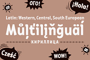 Barbariska Regular & Oblique, a Font by Russian Fonts (Thumbnail 4 of 9)