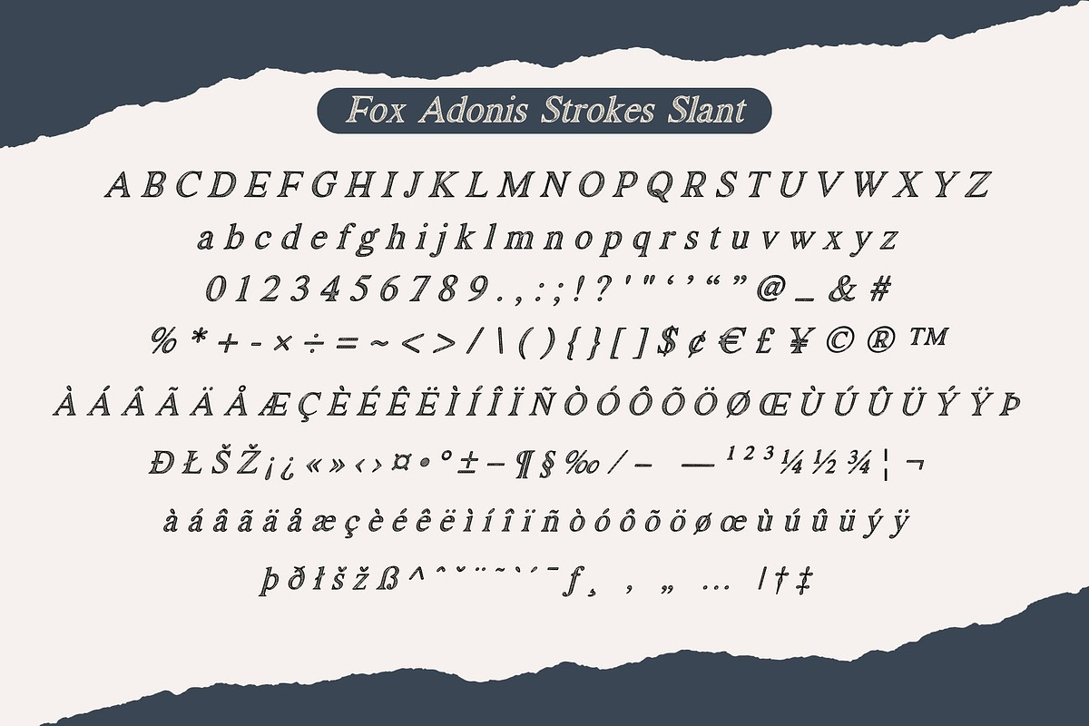 Fox Adonis: 4 Font Styles, a Serif Font by Fox7 By Rattana (Photo 11 of 13)