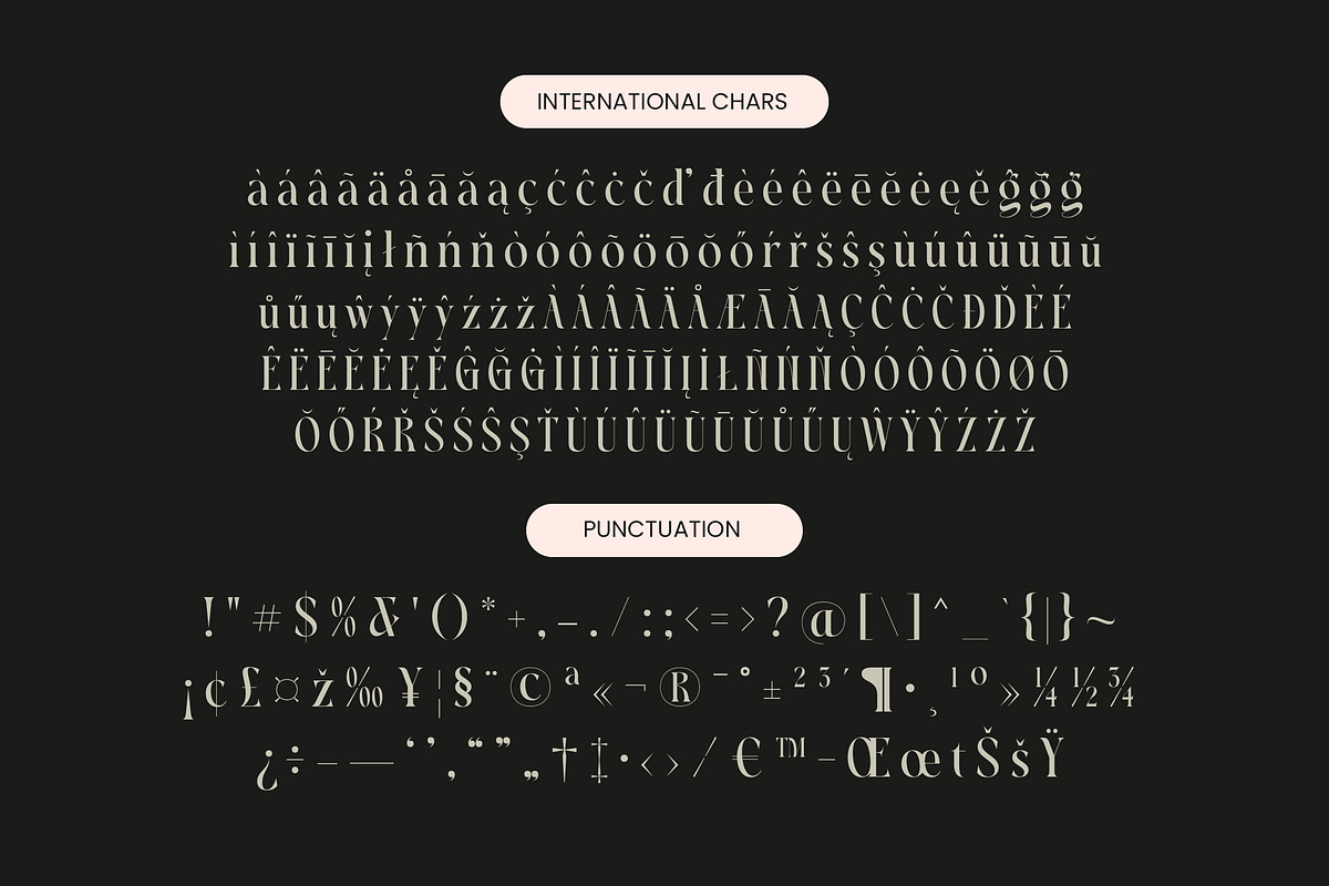 Magoth Modern Serif Display Font, a Serif Font by timelesstype.co (Photo 19 of 20)