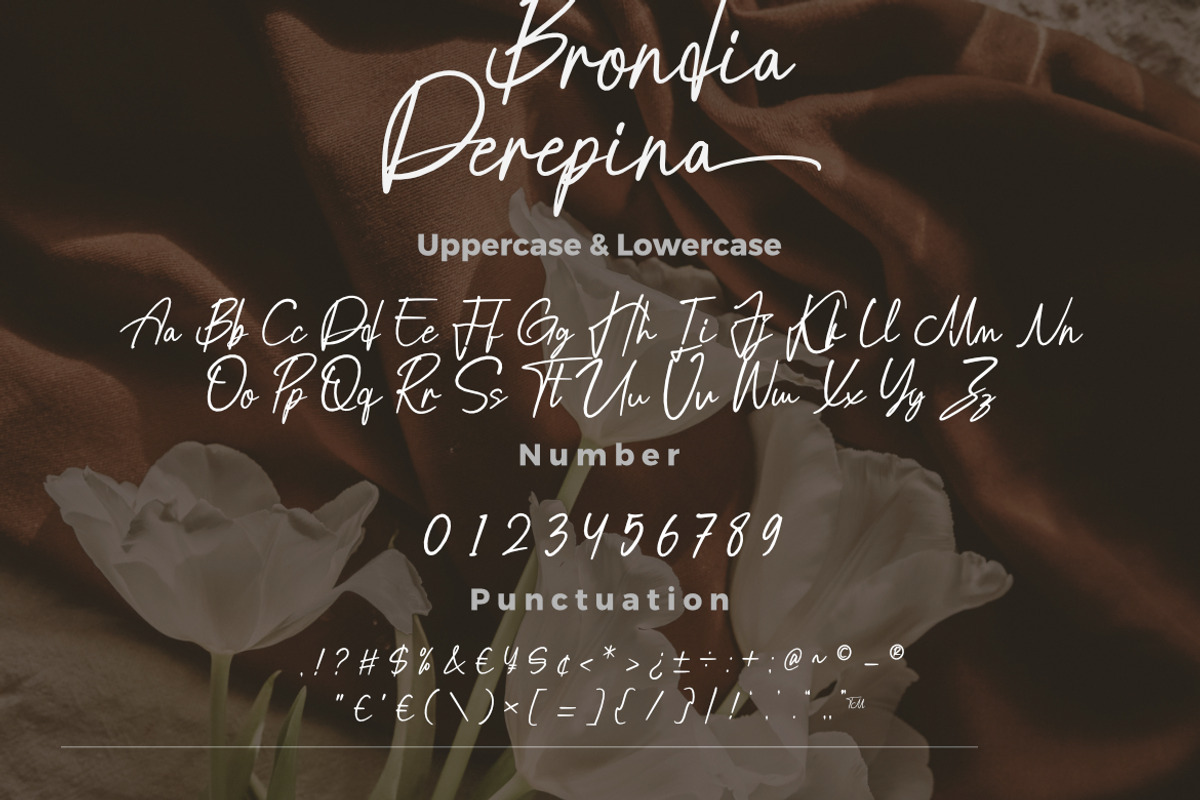 Brondia Derepina - Script Font, a Script Font by Bayuktx (Photo 8 of 10)